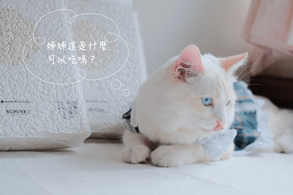喵皇奴極淨貓砂優缺點評價