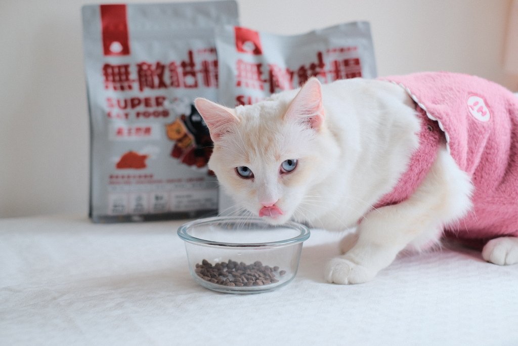 ParkCat無敵貓糧開箱評價，迷你顆粒適口性佳