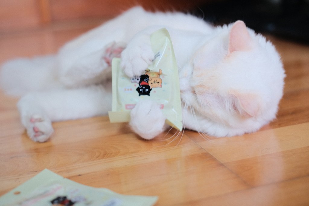 ParkCat神奇新鮮好喵招開箱