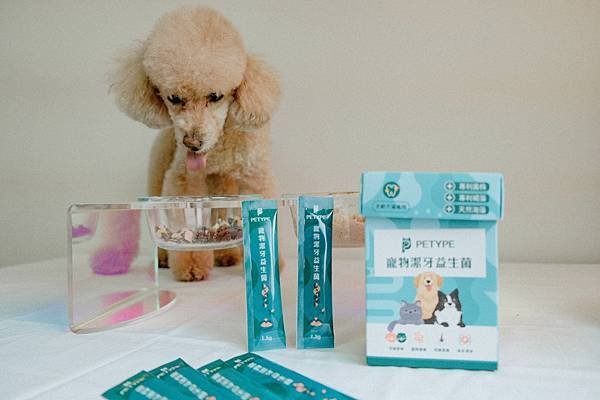 寵物口腔保養必備分享