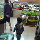 20110514796.jpg