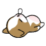 51.gif