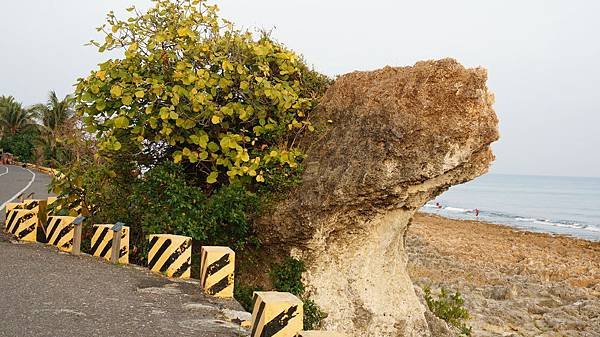 DSC04768 - 複製.JPG