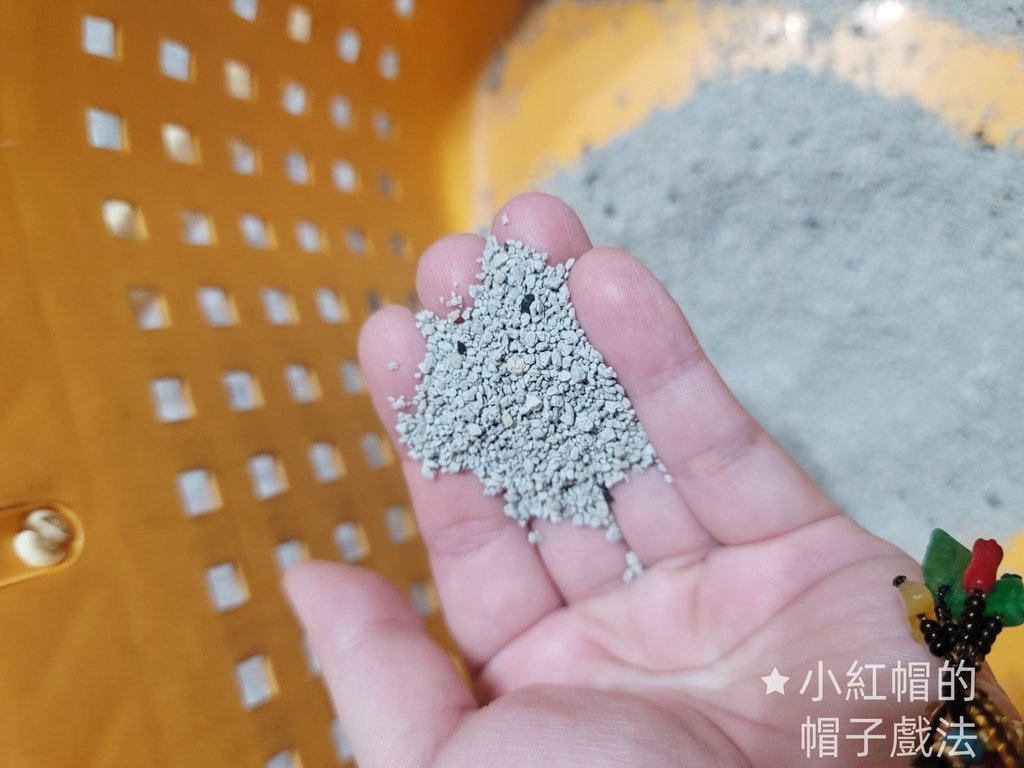 2025貓砂框沙推薦/韓國自由島礦砂貓砂/砂感細緻包覆感極強