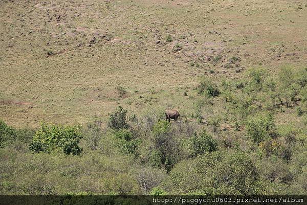 Mara Serena Safari Lodge