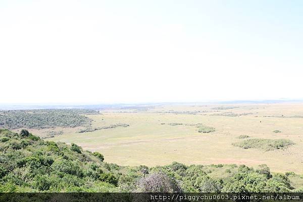 Mara Serena Safari Lodge