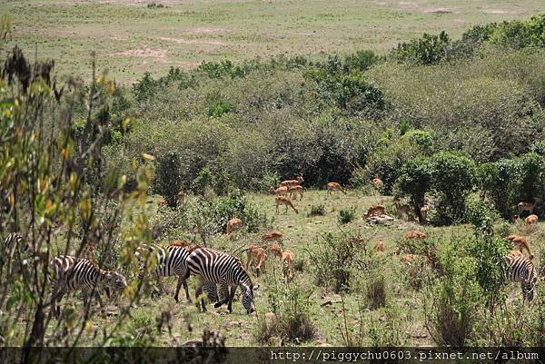 Mara Serena Safari Lodge