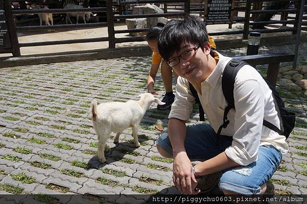 2015-06-05 新竹關西 六福村