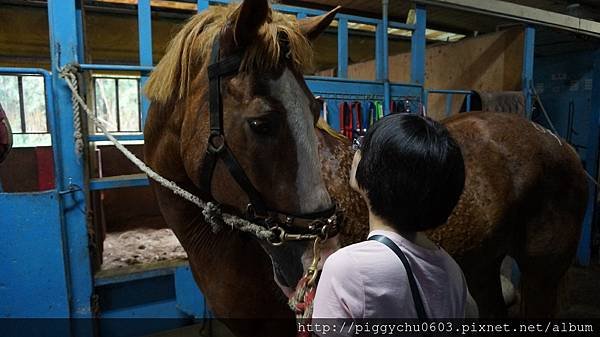 新竹 所羅門馬場