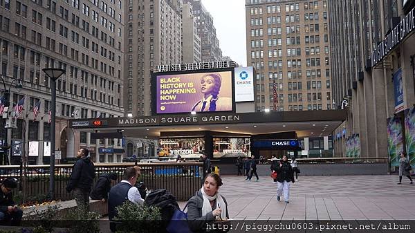 Madison Square Garden