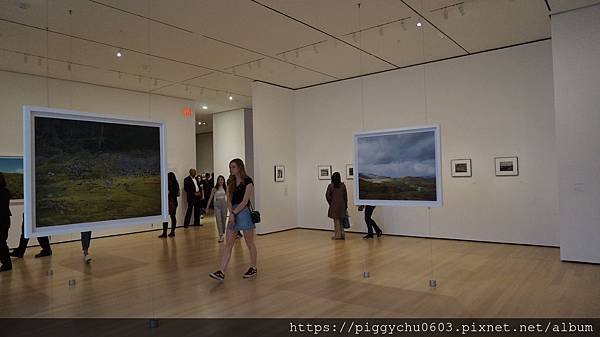 MOMA (Uniqlo FREE Friday Night)