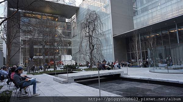 MOMA (Uniqlo FREE Friday Night)