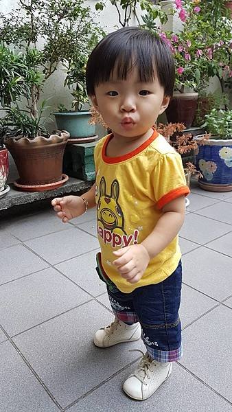 45586.jpg