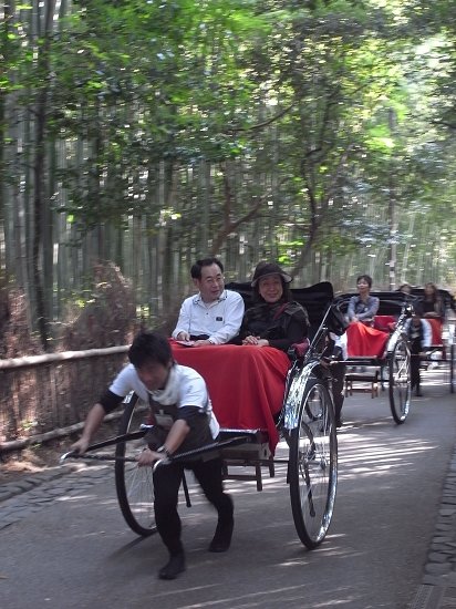 搭車的悠閒，拉車的辛苦