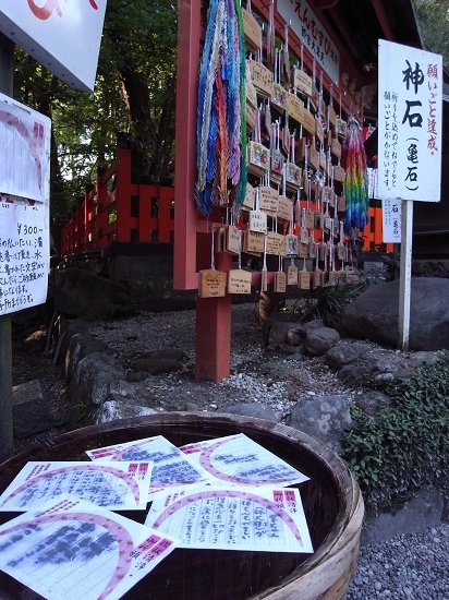 什麼都能求的野宮神社