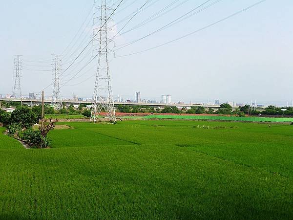 P1000304.jpg