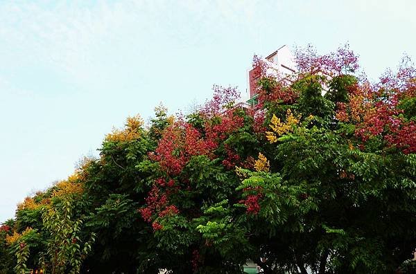 P1000332.jpg