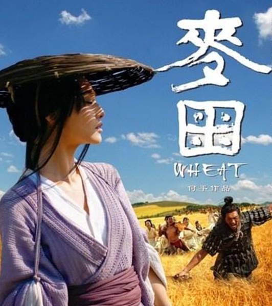 麥田.jpg