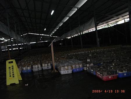 RIMG0019.JPG