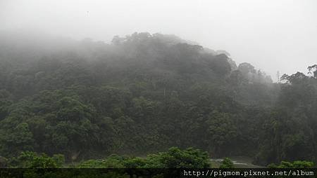 細雨中的金城