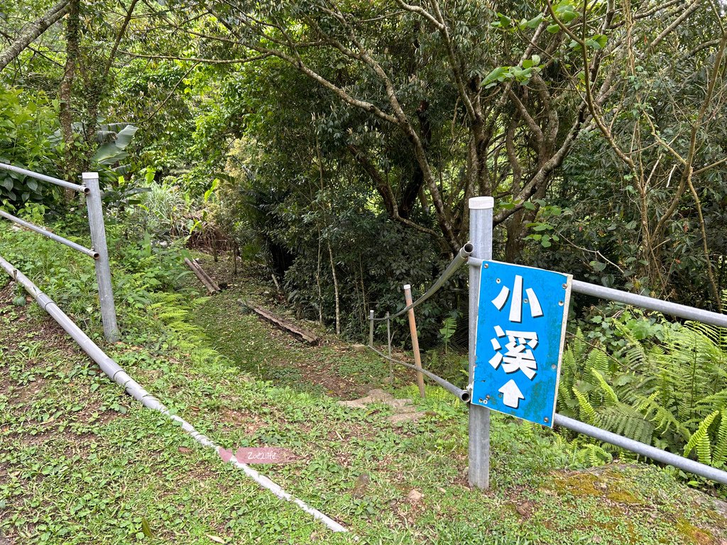 【苗栗泰安】推薦給露營新手的露營車開箱| 苗栗泰安一片天露營