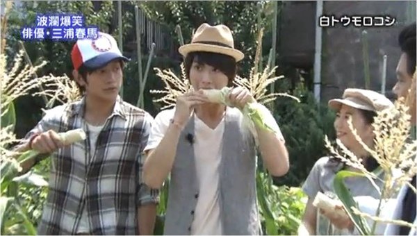 haruma_white corn_b.jpg