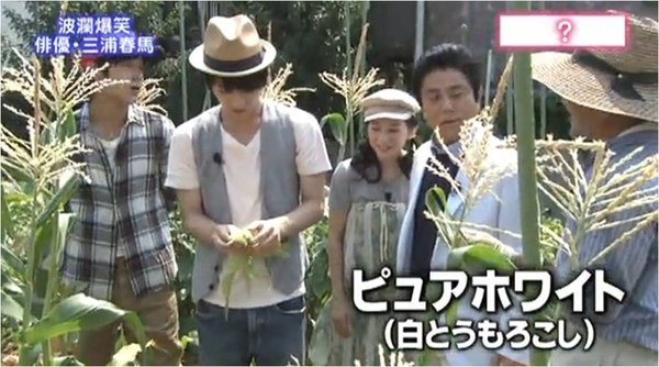 haruma_white corn_a.jpg