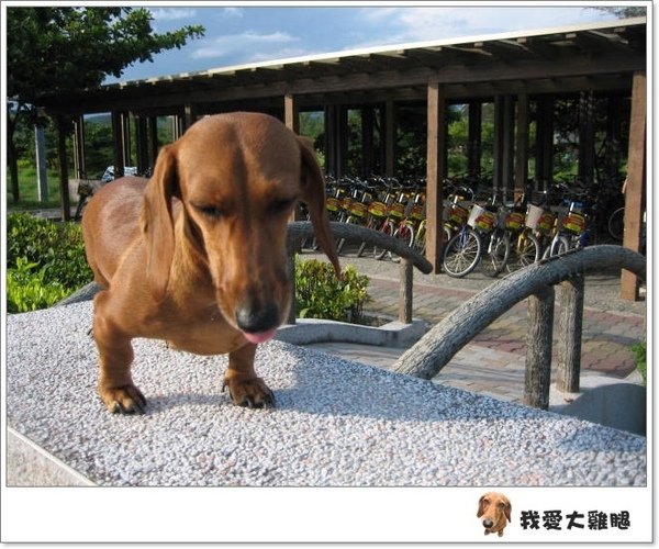 DAY1台東.13