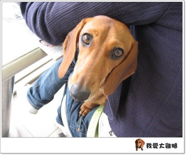 DAY5南橫?.04