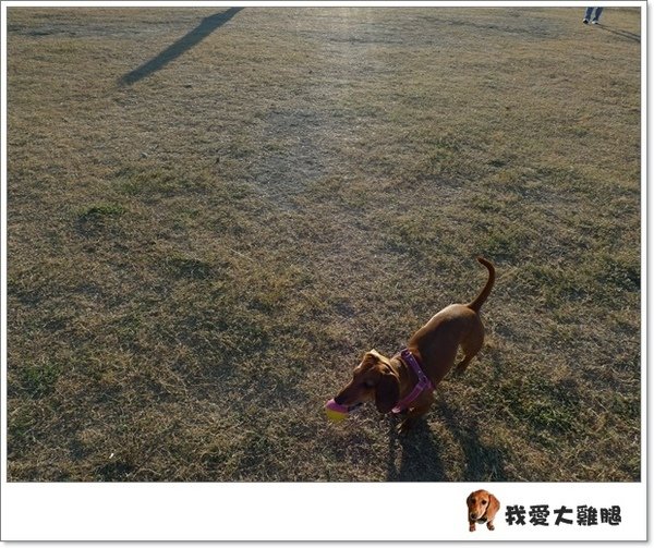 林默娘玩球.04