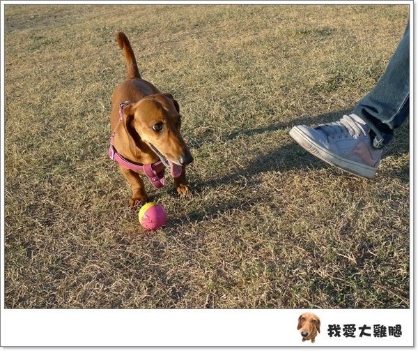 林默娘玩球.06