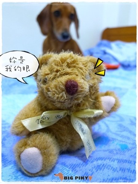 小熊日記.10