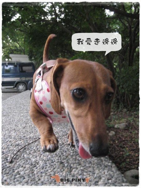 東海大學散冊.06