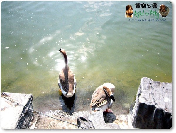 大步向前走 15