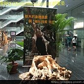 樹展 (3).jpg