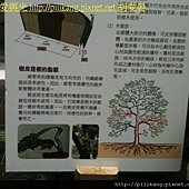 樹展 (12).jpg