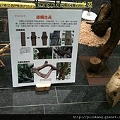 樹展 (17).jpg