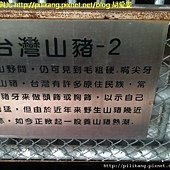 糖廠 (126).jpg