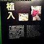 外星展 (70).jpg