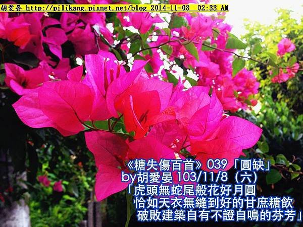 糖詩1108 (1).jpg