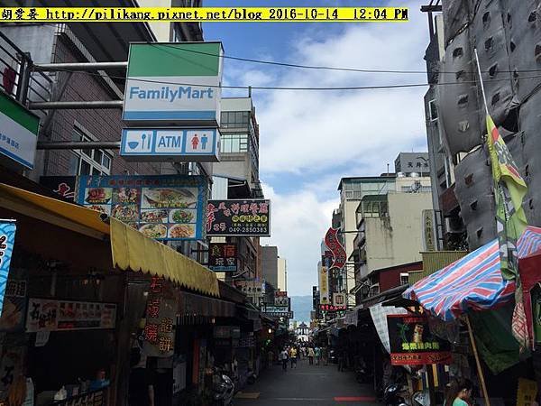 日月潭 (29)