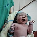 DSC00873.JPG