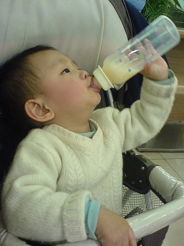 ap_20080219100823448.jpg