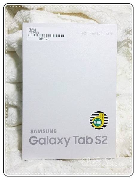三星 TAB S2 8.0-03.jpg