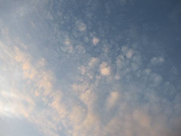 IMG_3801_調整大小 .JPG