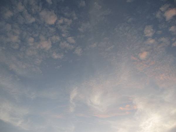 IMG_3804_調整大小 .JPG