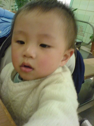ap_20080219100835324.jpg
