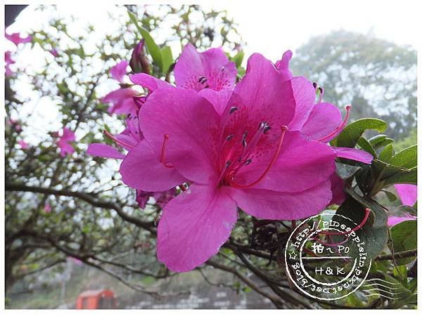 DSCF6654-pix.JPG