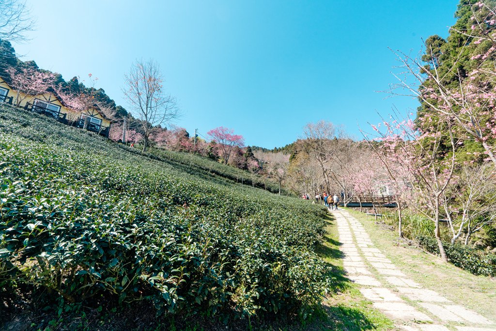 DSC08134.jpg
