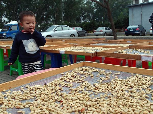 吾拉魯茲